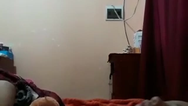 New Premium Video 279