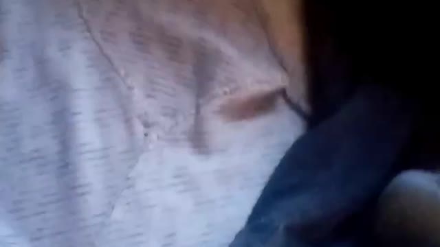 New Premium Video 3830